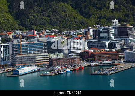 Wellington CBD, waterfront, and Te Ahumairangi Hill (Tinakori Hill), seen from Mount Victoria Lookout, Wellington, New Zealand Stock Photo