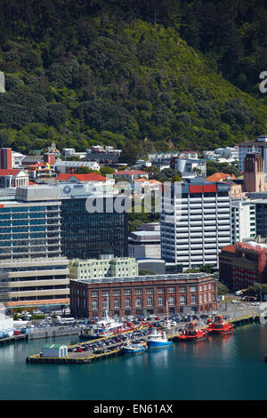 Wellington CBD, waterfront, and Te Ahumairangi Hill (Tinakori Hill), seen from Mount Victoria Lookout, Wellington, New Zealand Stock Photo