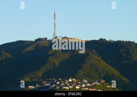 Television transmission mast, Mt Kaukau, Wellington, North Island, New Zealand Stock Photo