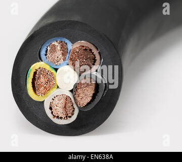 cross section of a big electrical cable in light back Stock Photo