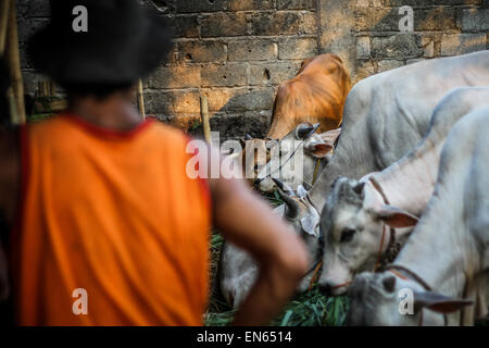 Tangerang, Indonesia. 27th Sep, 2014. A goat vendor waits for customers as goats are offered for sale for Eid al-Adha near to the Asmaul Husna Masjid. Eid al-Adha, also known as the Feast of Sacrifice, commemorates prophet Abraham's willingness to sacrifice his son as an act of obedience to God, who in accordance with tradition then provided a lamb in the boy's place. © Garry Andrew Lotulung/Pacific Press/Alamy Live News Stock Photo