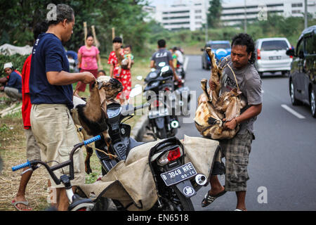 Tangerang, Indonesia. 28th Sep, 2014. A man carries home a small goat after Eid al-Adha prayers at Asmaul Husna Masjid. Eid al-Adha, also known as the Feast of Sacrifice, commemorates prophet Abraham's willingness to sacrifice his son as an act of obedience to God, who in accordance with tradition then provided a lamb in the boy's place. © Garry Andrew Lotulung/Pacific Press/Alamy Live News Stock Photo