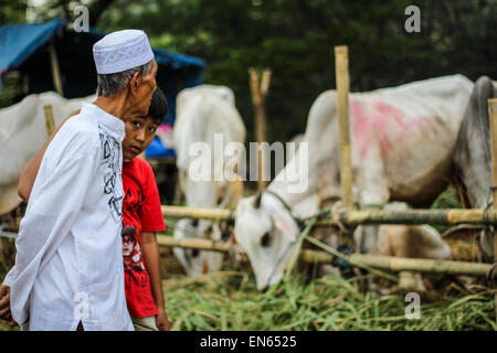 Tangerang, Indonesia. 28th Sep, 2014. A family look around where goats are tied together for sale after Eid al-Adha prayers at Asmaul Husna Masjid. Eid al-Adha, also known as the Feast of Sacrifice, commemorates prophet Abraham's willingness to sacrifice his son as an act of obedience to God, who in accordance with tradition then provided a lamb in the boy's place. © Garry Andrew Lotulung/Pacific Press/Alamy Live News Stock Photo