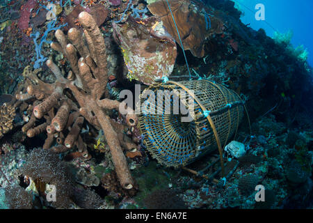 Traditional bamboo fishing trap on coral reef by the island of Pura in Alor Indonesia Stock Photo