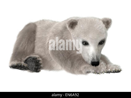 3D digital render of a polar bear cub resting isolated on white background Stock Photo