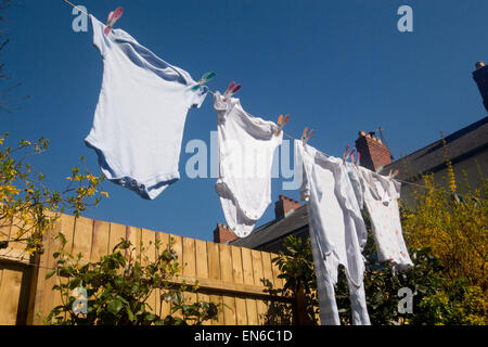 Baby boy's clothes hanging out to dry on washing line clothes line in back garden with wooden fence, forsythia bush, tree and bl Stock Photo