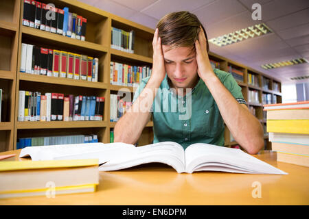 Student sitting in library reading Stock Photo