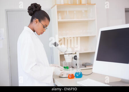 Scientist examining petri dish under microscope Stock Photo