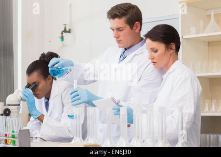 Scientists doing experimentations Stock Photo