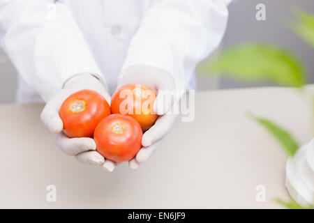 Scientist with protective gloves holding tomatoes Stock Photo