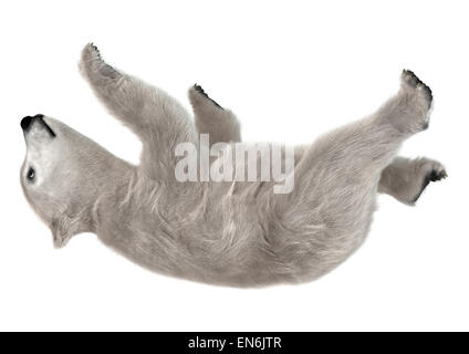 3D digital render of a polar bear cub playing isolated on white background Stock Photo