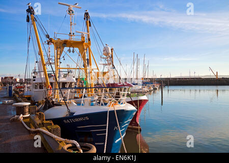 Scallop fishing boat vessel dredger Saturnus moored in Scarborough Harbour in winter North Yorkshire England UK United Kingdom GB Great Britain Stock Photo