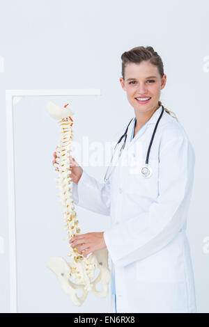 Doctor holding an anatomical spine Stock Photo