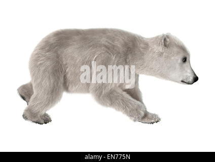 3D digital render of a polar bear cub running isolated on white background Stock Photo