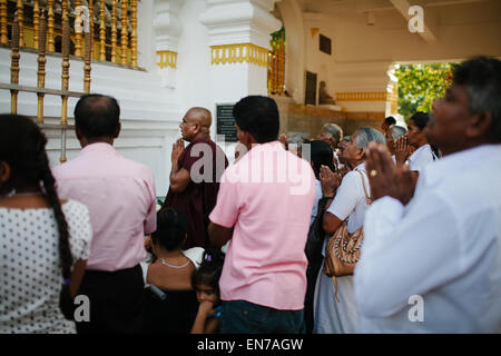 Pilgrims pray at Sri Maha Bodhi in Anuradhapura, Sri Lanka. Stock Photo