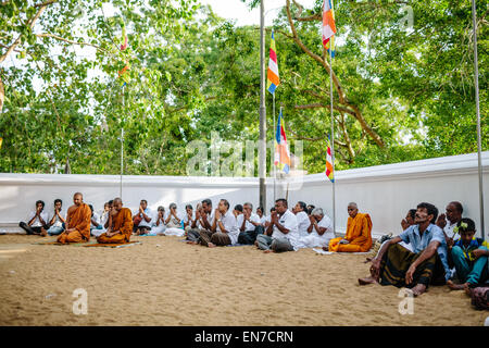 Pilgrims pray at Sri Maha Bodhi in Anuradhapura, Sri Lanka. Stock Photo