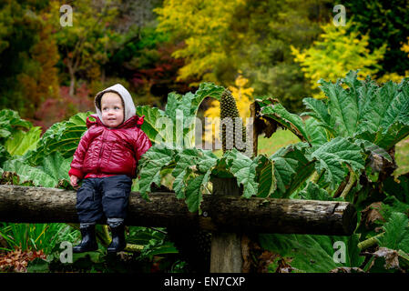 Cute smiling kid sitting on the log in the autumn garden Stock Photo