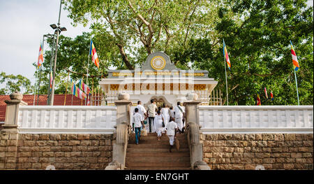 Sri Maha Bodhi, a major Buddhist religious site, in Anuradhapura, Sri Lanka. Stock Photo