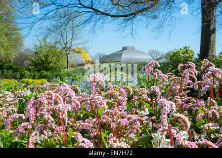 springtime at sheffield botanical gardens, yorkshire