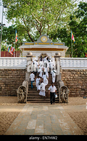 Sri Maha Bodhi, a major Buddhist religious site, in Anuradhapura, Sri Lanka. Stock Photo