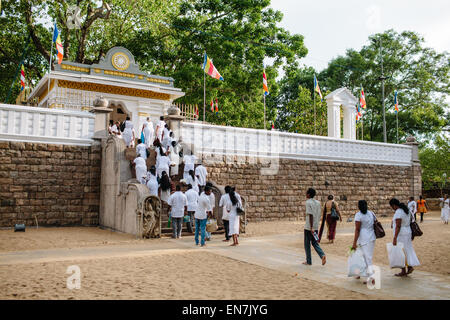 Sri Maha Bodhi, a major Buddhist religious site, in Anuradhapura, Sri Lanka. Stock Photo