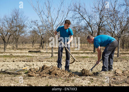 father and son digging ground in forest with shovels, ecology