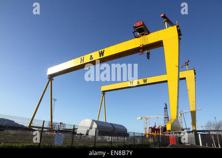 Samson and Goliath, the famous landmarks of Harland and Wolff shipyard, Belfast, on a spring evening Stock Photo