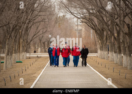Expedition 43 prime crew members: NASA Astronaut Scott Kelly, and Russian Cosmonauts Gennady Padalka, and Mikhail Kornienko of the Russian Federal Space Agency (Roscosmos), and backup crew members Sergei Volkov, and Alexey Ovchinin and of Roscosmos, and NASA Astronaut Jeff Williams walk along the Avenue of the Cosmonauts where two long rows of trees are all marked with the name and year of the crew member who planted them starting from Yuri Gagarin's tree, Saturday, March 21, 2015, Baikonur, Kazakhstan. Expedition 43 NASA Astronaut Scott Kelly, and Russian Cosmonauts Gennady Padalka, and Mikha Stock Photo