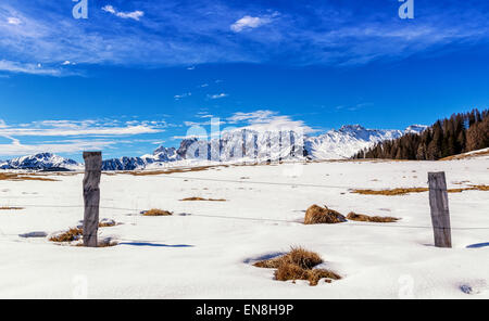 Scenic winter view of Seiser Alm or Alpe di Siusi, Dolomites, Alto Adige, Italy Stock Photo