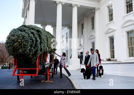 First Lady Michelle Obama, with daughters Sasha and Malia and family pets Bo and Sunny, receives the official White House Christmas tree at the North Portico of the White House, Nov. 28, 2014. Stock Photo