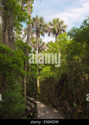 Erna Nixon Park Wildlife Refuge and Hammock Trail in Melbourne Florida Stock Photo