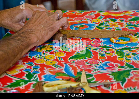 Horizontal close up of cigar rolling in Vinales. Stock Photo