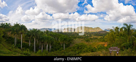 Horizontal panoramic of the stunning landscape in Vinales. Stock Photo