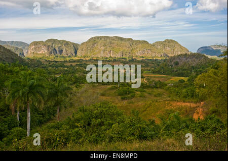 Horizontal view of the stunning landscape in Vinales. Stock Photo