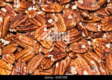 Pecan nut or Carya illinoinensis is a species of woody plants in the ...