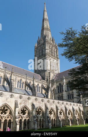 England, Wiltshire, Salisbury, Cathedral from cloisters Stock Photo