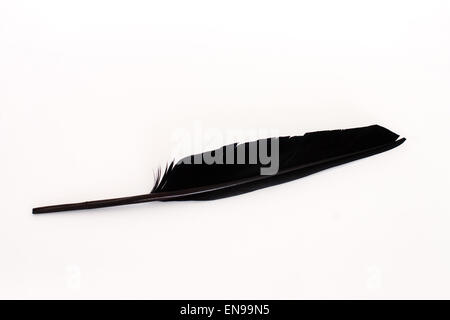 Black feather on white background and ink pot Stock Photo