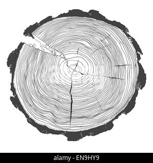 Annual tree growth rings with grayscale drawing of the cross-section of a tree trunk isolated on white. Vector illusration Stock Photo