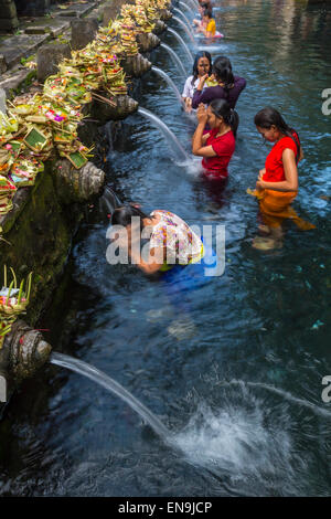 Hindu Cleansing Bali Stock Photo