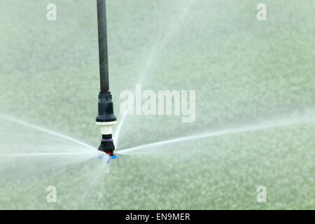 A closeup view of a high tech agricultural sprinkler head water farm crops. Stock Photo