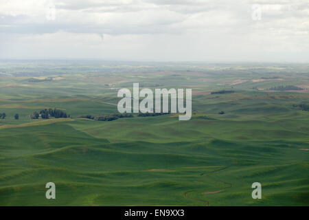 A view of the Palouse Valley in Washington state, taken from Steptoe butte. Stock Photo