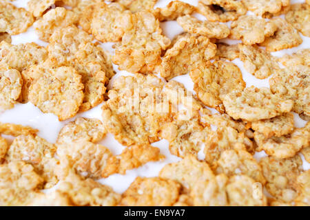 closeup of a bowl with yogurt and oatmeal cereals for breakfast Stock Photo