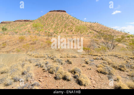 Picturesque view of the Outback at Mornington Wilderness Camp, Kimberley, Western Australia, WA, Australia Stock Photo