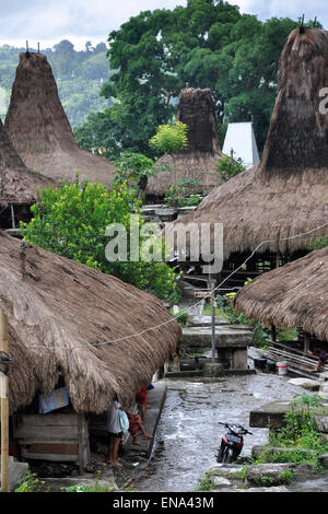 Indonesia, Sumba island, Tarung village Stock Photo