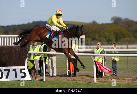 Newton Abbot, UK. 30th Apr, 2015. Newton Abbot Races. Vicente and Sam Twiston-Davies leading the SIS Virtual Mobile Games Beginners' Chase. Credit:  Action Plus Sports/Alamy Live News Stock Photo