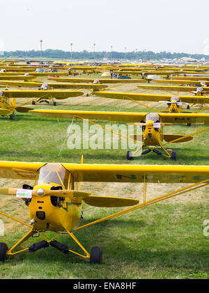 Piper J-3 Cubs on display at the EAA Airventure airshow, Oshkosh, Wisconsin. Stock Photo