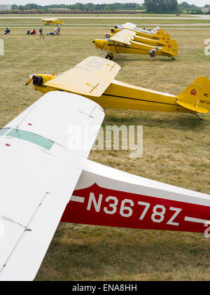 Piper J-3 Cubs on display at the EAA Airventure airshow, Oshkosh, Wisconsin. Stock Photo