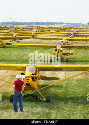 Piper J-3 Cubs on display at the EAA Airventure airshow, Oshkosh, Wisconsin. Stock Photo