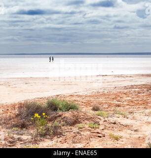 Lake Hart is a salt lake in South Australia very pretty but harsh conditions Stock Photo