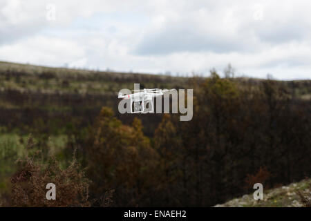 Small consumer drone flying (DJI Innovations Phantom 2) in forest Stock Photo